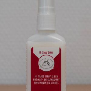 NSPS Hi Gloss Spray
